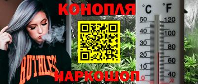 соль ск Ипатово
