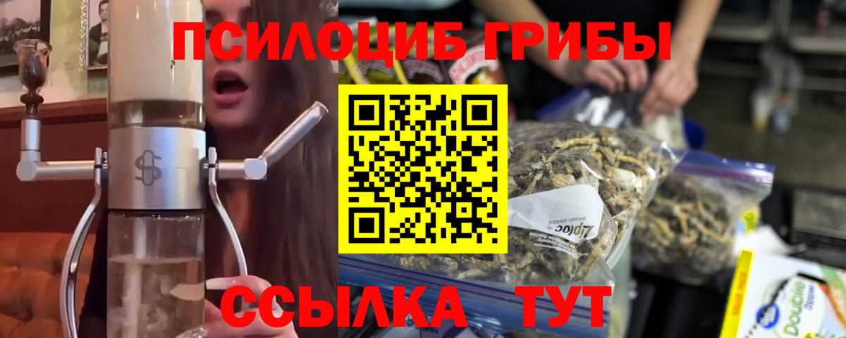 Мурино  Псилоцибиновые грибы мицелий  Псилоцибиновые грибы Magic Shrooms  Вход с VPN 